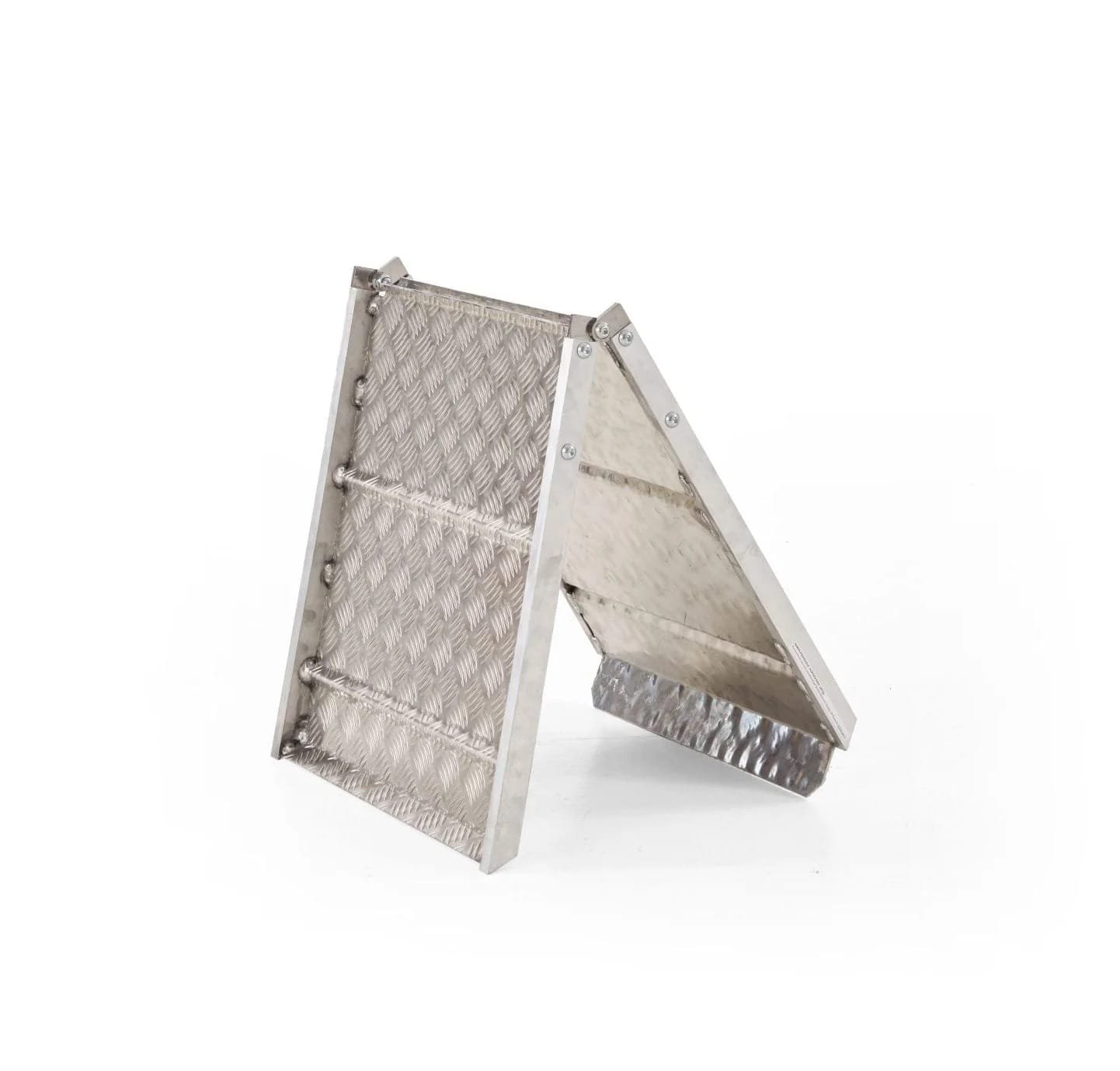 115x54x3 cm rampa pieghevole per i modelli Buddy e Buddy Lift Plasmoid